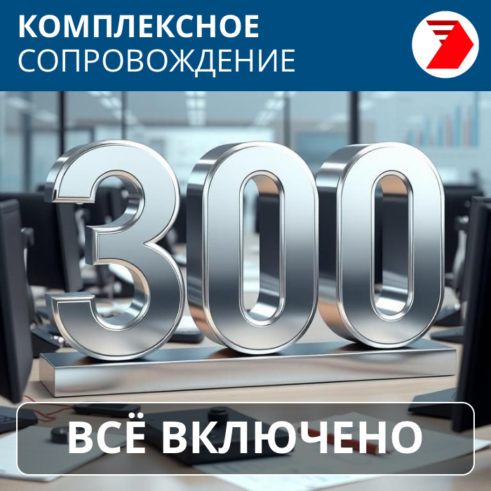 Комплексная поддержка ВСЁ ВКЛЮЧЕНО — 300