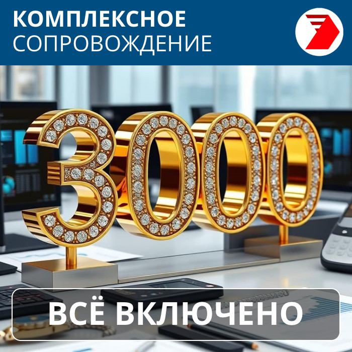 Комплексная поддержка ВСЁ ВКЛЮЧЕНО — 3000